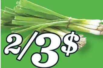 Marché Richelieu OIGNONS VERTS | GREEN ONIONS offer