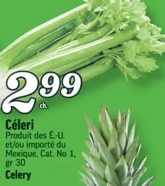 Marché Richelieu CÉLERI | CELERY offer