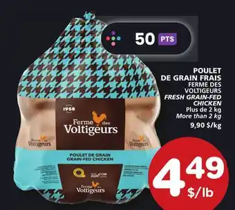 Marches Tradition FERME DES VOLTIGEURS FRESH GRAIN-FED CHICKEN offer