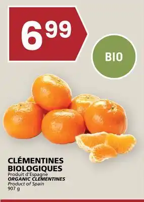 Rachelle-Bery Grocery ORGANIC CLEMENTINES offer
