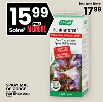 Rachelle-Bery Grocery A. VOGEL SORE THROAT SPRAY offer