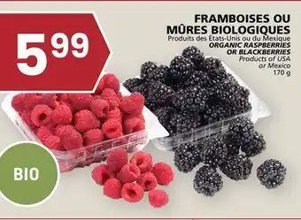 Rachelle-Bery Grocery ORGANIC RASPBERRIES OR BLACKBERRIES offer
