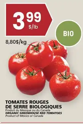 Rachelle-Bery Grocery ORGANIC GREENHOUSE RED TOMATOES offer