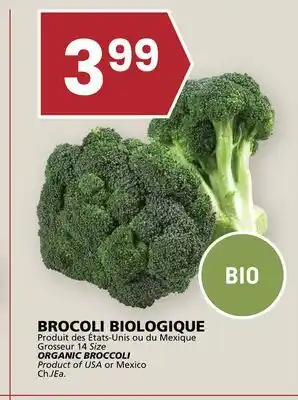 Rachelle-Bery Grocery ORGANIC BROCCOLI offer