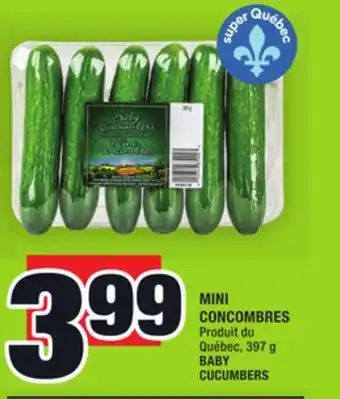 Super C MINI CONCOMBRES | BABY CUCUMBERS offer