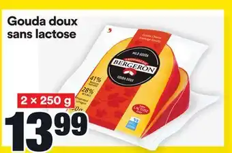 Super C Gouda doux sans lactose offer