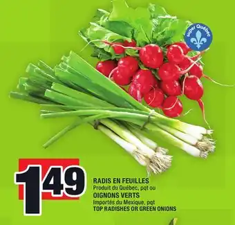 Super C RADIS EN FEUILLES OU OIGNONS VERTS | TOP RADISHES OR GREEN ONIONS offer
