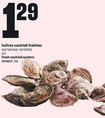 Provigo HUÎTRES COCKTAIL FRAÎCHES offer