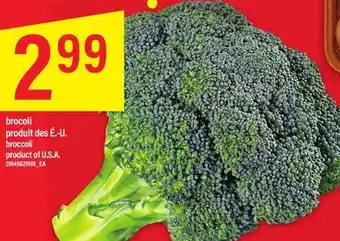 Maxi BROCOLI offer