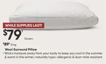 Dormez Vous Wool Surround Pillow offer