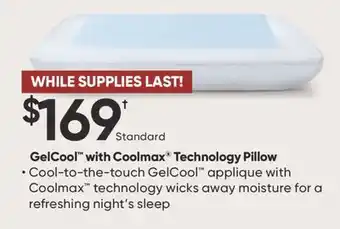 Dormez Vous GelCool with Coolmax Technology Pillow offer