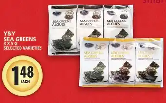 Food Basics Y&Y SEA GREENS 3X5G SELECTED VARIETIES offer