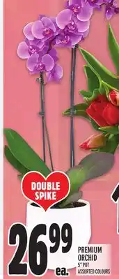 Metro PREMIUM ORCHID offer