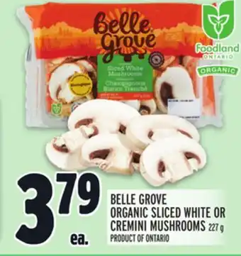 Metro BELLE GROVE ORGANIC SLICED WHITE OR CREMINI MUSHROOMS offer