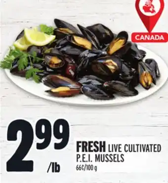 Metro FRESH LIVE CULTIVATED P.E.I. MUSSELS offer