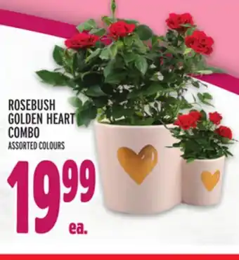 Metro ROSEBUSH GOLDEN HEART COMBO offer
