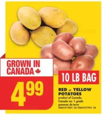 No Frills RED or YELLOW POTATOES, 10 LB BAG offer