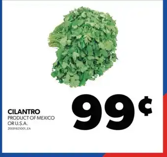 Real Canadian Superstore CILANTRO offer