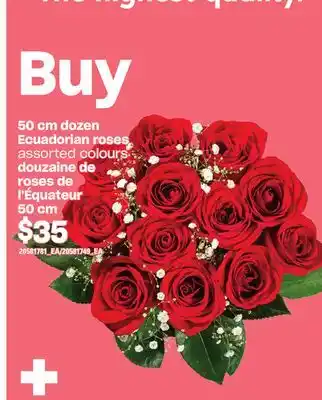 Independent Grocer 50 CM DOZEN ECUADORIAN ROSES offer