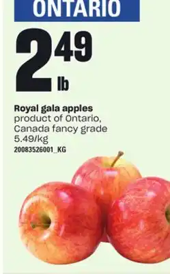 Loblaws ROYAL GALA APPLES offer