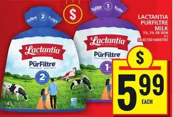 Food Basics LACTANTIA PURFILTRE MILK offer