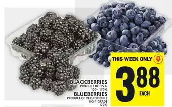 Food Basics BLACKBERRIES offer
