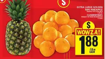 Food Basics EXTRA LARGE GOLDEN RIPE PINEAPPLE OR CLEMENTINES offer