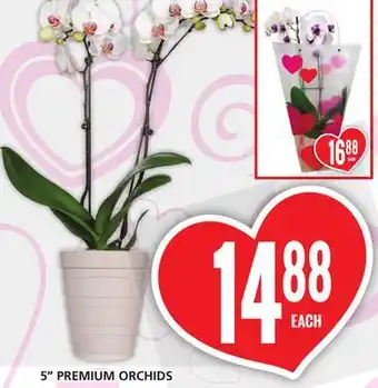 Food Basics 5 PREMIUM ORCHIDS offer