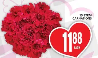 Food Basics 15 STEM CARNATIONS offer