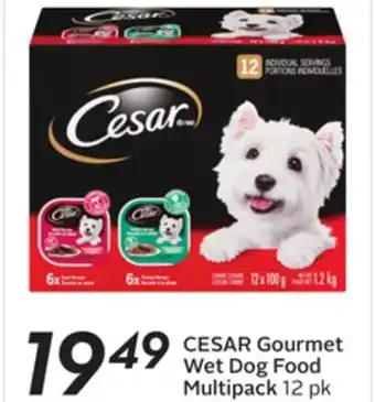 Sobeys Gourmet Wet Dog Food Multipack offer