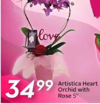 Sobeys Artistica Heart Orchid with Rose offer