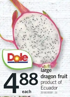 Fortinos large dragon fruit offer