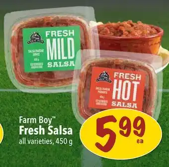 Farm Boy Farm Boy Fresh Salsa offer