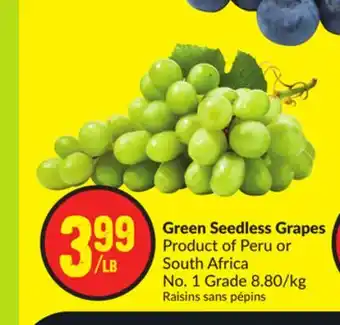 Chalo FreshCo Green Seedless Grapes Product of Peru or South Africa No. 1 Grade 8.80/kg offer