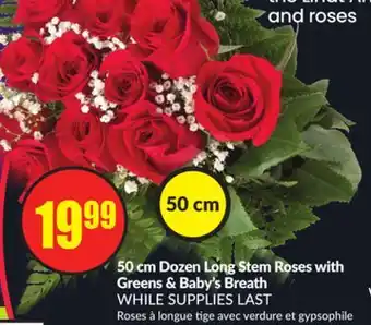 Chalo FreshCo 50 cm Dozen Long Stem Roses with Greens & Baby's Breath offer