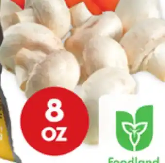 Giant Tiger 8 oz whole white mushrooms offer
