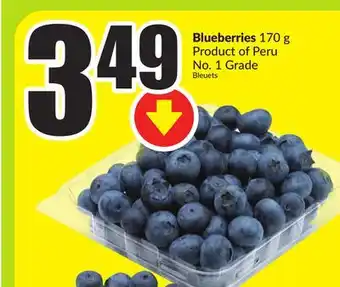 FreshCo Blueberries 170 g Product of Peru No. 1 Grade offer
