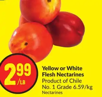 FreshCo Yellow or White Flesh Nectarines Product of Chile No.1 Grade 6.59/kg offer