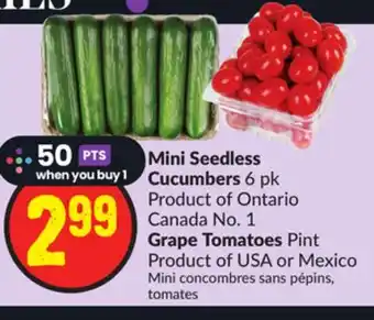 FreshCo Mini Seedless Cucumbers 6 pk Product of Ontario Canada No. 1 Grape Tomatoes Pint Product of USA or Mexico offer