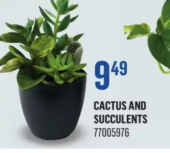 Canac Cactus and Succulents offer