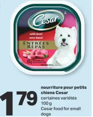 L'Intermarché NOURRITURE POUR PETITS CHIENS 100 G offer