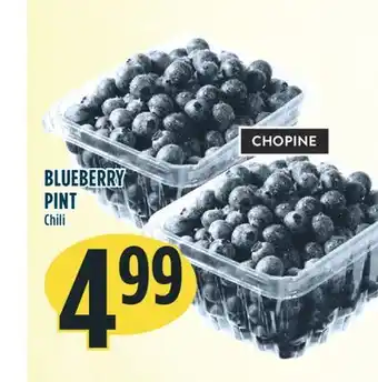 Marché Adonis BLUEBERRY PINT offer