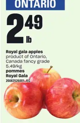 Independent City Market ROYAL GALA APPLES offer