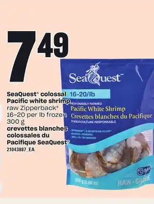 Independent City Market SEAQUEST COLOSSAL PACIFIC WHITE SHRIMP, 300 g offer