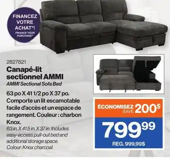 Patrick Morin AMMI Sectional Sofa Bed offer
