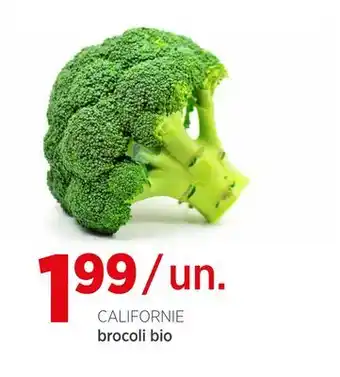 Avril Brocoli bio offer