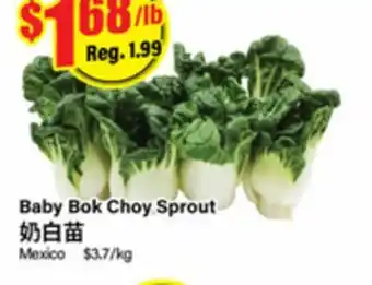 Terra Foodmart Baby Bok Choy Sprout offer