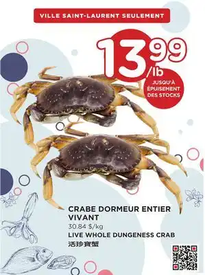 Kim Phat LIVE WHOLE DUNGENESS CRAB offer