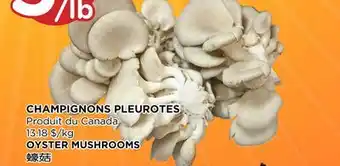 Kim Phat OYSTER MUSHROOMS offer