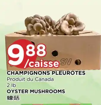 Kim Phat OYSTER MUSHROOMS offer